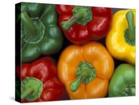 Bell Peppers, Washington, USA-Jamie & Judy Wild-Stretched Canvas