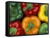 Bell Peppers, Washington, USA-Jamie & Judy Wild-Framed Stretched Canvas