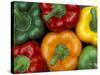 Bell Peppers, Washington, USA-Jamie & Judy Wild-Stretched Canvas