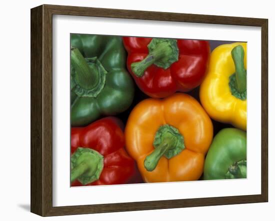 Bell Peppers, Washington, USA-Jamie & Judy Wild-Framed Premium Photographic Print