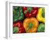 Bell Peppers, Washington, USA-Jamie & Judy Wild-Framed Premium Photographic Print