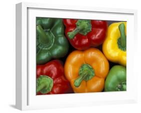 Bell Peppers, Washington, USA-Jamie & Judy Wild-Framed Premium Photographic Print