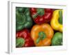 Bell Peppers, Washington, USA-Jamie & Judy Wild-Framed Photographic Print