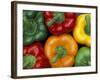 Bell Peppers, Washington, USA-Jamie & Judy Wild-Framed Photographic Print