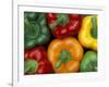 Bell Peppers, Washington, USA-Jamie & Judy Wild-Framed Photographic Print