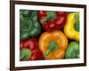 Bell Peppers, Washington, USA-Jamie & Judy Wild-Framed Photographic Print