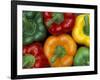 Bell Peppers, Washington, USA-Jamie & Judy Wild-Framed Photographic Print