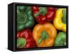 Bell Peppers, Washington, USA-Jamie & Judy Wild-Framed Stretched Canvas