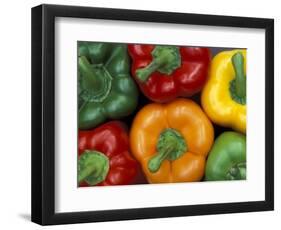 Bell Peppers, Washington, USA-Jamie & Judy Wild-Framed Photographic Print