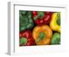 Bell Peppers, Washington, USA-Jamie & Judy Wild-Framed Photographic Print