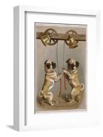 Bell Ringing Pug Dogs-null-Framed Photographic Print