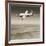 Bell X-1 Supersonic Aircraft-Detlev Van Ravenswaay-Framed Photographic Print