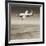 Bell X-1 Supersonic Aircraft-Detlev Van Ravenswaay-Framed Photographic Print