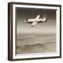 Bell X-1 Supersonic Aircraft-Detlev Van Ravenswaay-Framed Premium Photographic Print