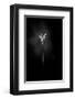 Bell-null-Framed Art Print