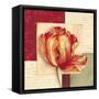 Bella Donna I-Pamela Gladding-Framed Stretched Canvas