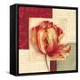 Bella Donna I-Pamela Gladding-Framed Stretched Canvas