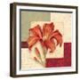 Bella Donna II-Pamela Gladding-Framed Premium Giclee Print