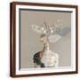 Brown Frame