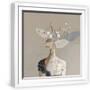 White Frame