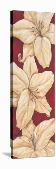 Bella Grande Lilies-Paul Brent-Stretched Canvas