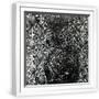 White Frame