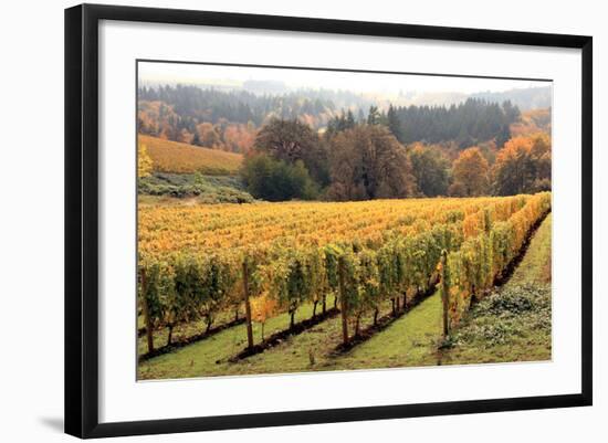 Bella Vida II-Maureen Love-Framed Photographic Print