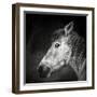 Bella-Piet Flour-Framed Photographic Print