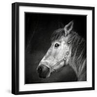 Bella-Piet Flour-Framed Photographic Print