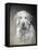 Bella-Rusty Frentner-Framed Stretched Canvas