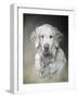 Bella-Rusty Frentner-Framed Giclee Print