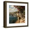 Bellagio Harbor-Paline-Framed Art Print