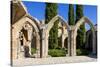 Bellapais Abbey near Kyrenia, Northern Cyprus-Dmitry Pogodin-Stretched Canvas