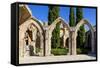 Bellapais Abbey near Kyrenia, Northern Cyprus-Dmitry Pogodin-Framed Stretched Canvas