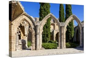 Bellapais Abbey near Kyrenia, Northern Cyprus-Dmitry Pogodin-Stretched Canvas