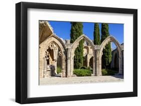 Bellapais Abbey near Kyrenia, Northern Cyprus-Dmitry Pogodin-Framed Photographic Print