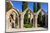 Bellapais Abbey near Kyrenia, Northern Cyprus-Dmitry Pogodin-Mounted Photographic Print