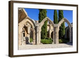 Bellapais Abbey near Kyrenia, Northern Cyprus-Dmitry Pogodin-Framed Photographic Print