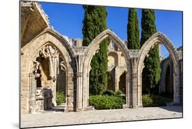 Bellapais Abbey near Kyrenia, Northern Cyprus-Dmitry Pogodin-Mounted Photographic Print