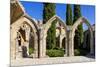 Bellapais Abbey near Kyrenia, Northern Cyprus-Dmitry Pogodin-Mounted Photographic Print