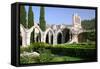 Bellapais Abbey, North Cyprus-Peter Thompson-Framed Stretched Canvas