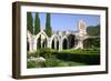 Bellapais Abbey, North Cyprus-Peter Thompson-Framed Premium Photographic Print