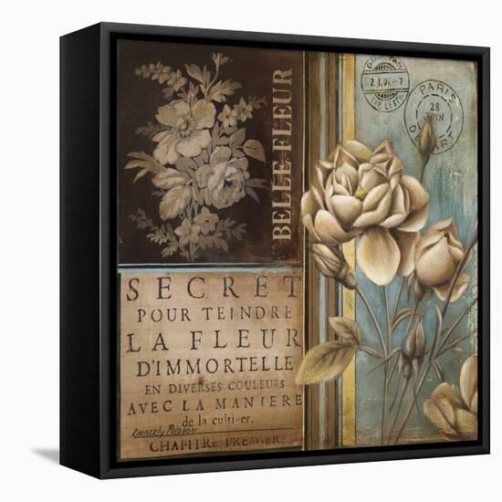 Belle Fleur I-Kimberly Poloson-Framed Stretched Canvas