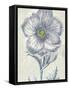 Belle Fleur II Crop-Sue Schlabach-Framed Stretched Canvas