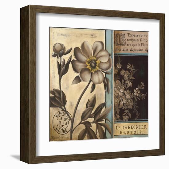 Belle Fleur II-Kimberly Poloson-Framed Art Print