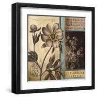 Belle Fleur II-Kimberly Poloson-Framed Art Print