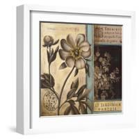 Belle Fleur II-Kimberly Poloson-Framed Art Print