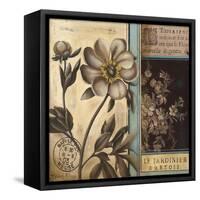 Belle Fleur II-Kimberly Poloson-Framed Stretched Canvas