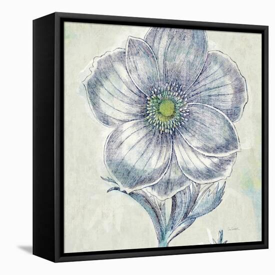 Belle Fleur II-Sue Schlabach-Framed Stretched Canvas