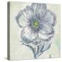 Belle Fleur II-Sue Schlabach-Stretched Canvas